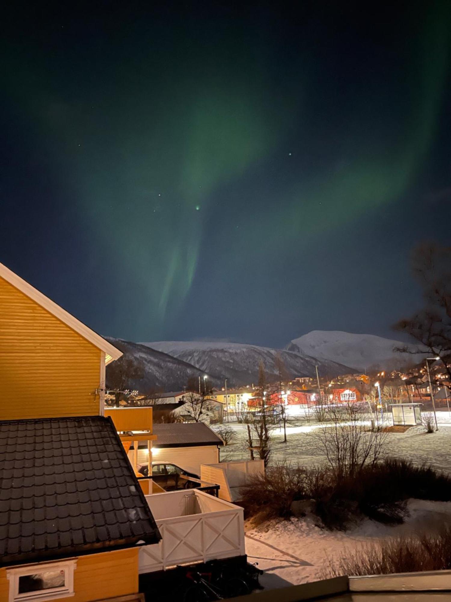Luxury Apartment Vip Northern Lights Trip Tromsø Eksteriør bilde