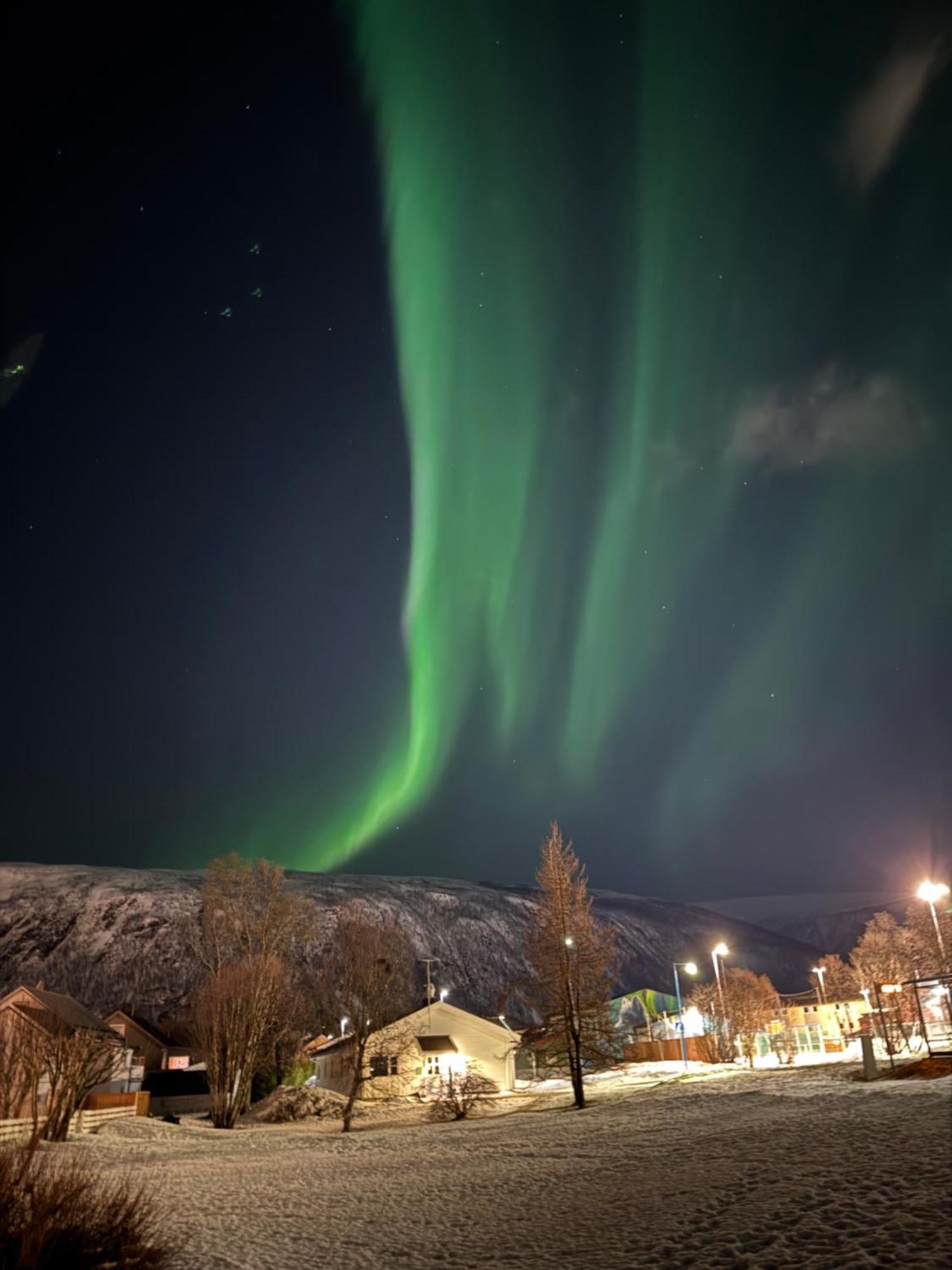 Luxury Apartment Vip Northern Lights Trip Tromsø Eksteriør bilde