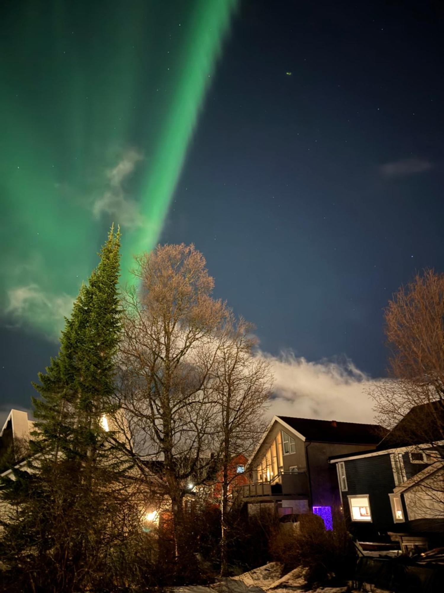 Luxury Apartment Vip Northern Lights Trip Tromsø Eksteriør bilde